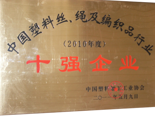 2010年度中国塑料丝、绳及编织品行业十强企业