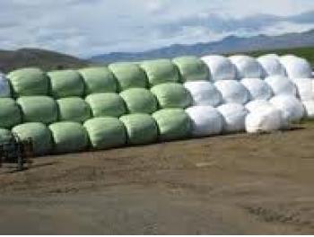 Silage film