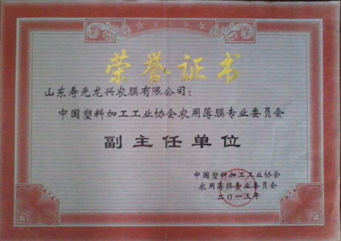 Deputy director of the unit