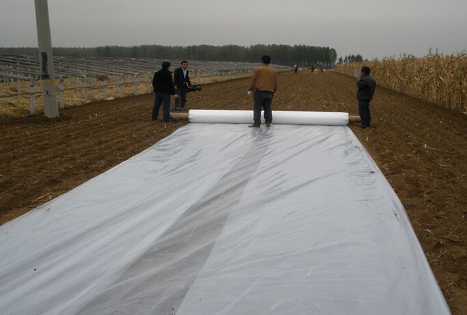 Soil sterilization membrane